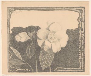 Camélia, à gauche une fleur en bouton - Samuel Jessurun de Mesquita