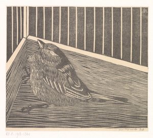 Oiseau dans un coin de cage