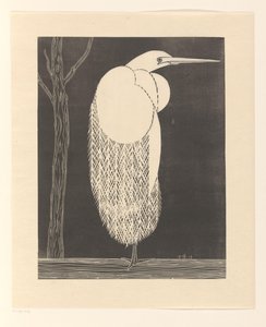 Aigrette