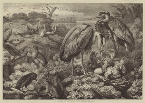 La héronnière à Didlington Park, Norfolk - Samuel John Carter