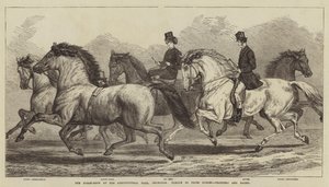 Le Salon du Cheval à l