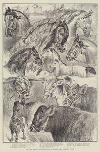 Le Salon de la Société Royale d