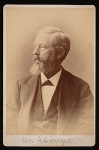 Portrait d