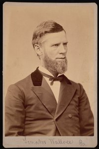 Portrait de William Andrew Wallace - Samuel Montague Fassett