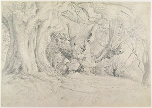 Arbres anciens, parc de Lullingstone, 1828 - Samuel Palmer