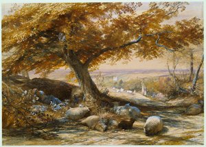 Moutons à l