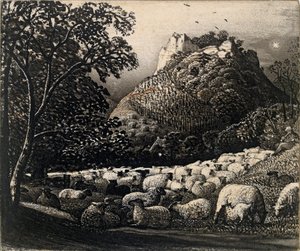Le Troupeau et l