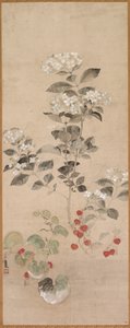 Fleurs d