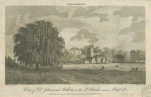 Lichfield - Saule de "Dr. Johnson"