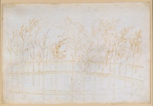 La Divine Comédie, Paradis I : Ascension vers le ciel de feu. Béatrice explique à Dante les forces qui régissent l