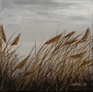  - Sandy Iseli