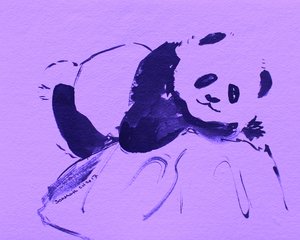 Mignon panda violet - Santhosh ch