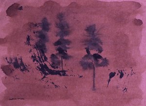 Sombre paysage forestier - Santhosh ch