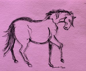 Contour dynamique de cheval - Santhosh ch
