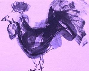 Coq violet expressif - Santhosh ch