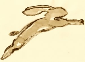 Esquisse de lapin bondissant - Santhosh ch