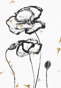 Coquelicots minimalistes au fusain - Santhosh ch