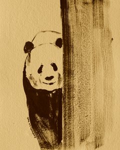 Panda timide qui regarde - Santhosh ch