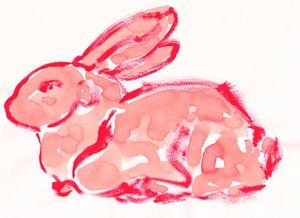 Lapin rouge vif
