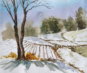 Paysage hivernal