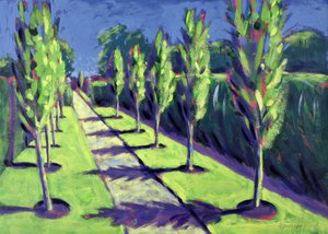 Avenue