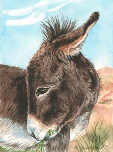 Bashful, 2024 (Aquarelle sur papier) - Sarah Drummond