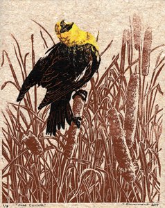 Cantate de quenouilles, 2017 (Linogravure)