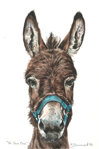 In Your Face, 2024 (aquarelle sur papier) - Sarah Drummond