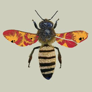 Abeille, 2010