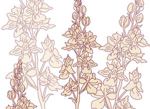 Orchidée - Sarah Hough