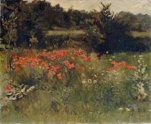 Coquelicots, Reigate