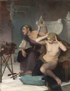 Les Bacidae