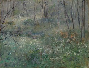 Persil sauvage, 1900 - Sarah Paxton Ball Dodson