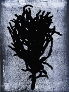 Fougère noire - Sarah Thompson Engels