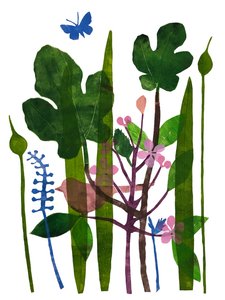Feuilles de figuier