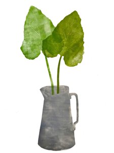 Pichet gris avec feuilles