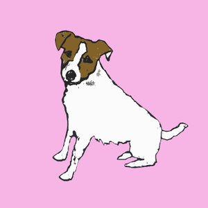 Jack Russell, 2014 - Sarah Thompson Engels