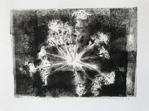 Tête de graine II - Sarah Thompson Engels