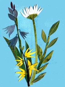 Fleurs de printemps, 2018 - Sarah Thompson Engels