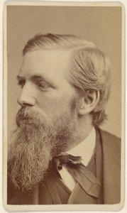 [Robert Swain] Gifford - Sarony and Co.
