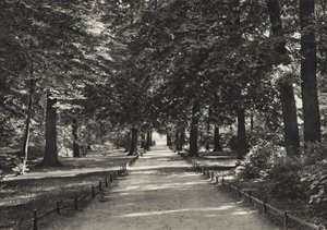 Berlin : Tiergarten - Sasha Stone