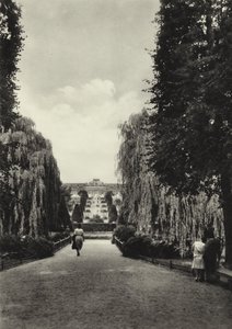 Potsdam, Die Terrassen von Sanssouci - Sasha Stone