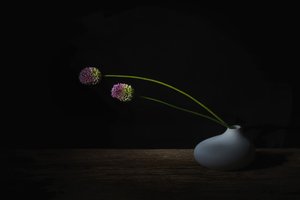  - Saskia Dingemans
