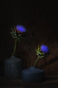  - Saskia Dingemans