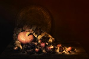  - Saskia Dingemans