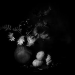  - Saskia Dingemans