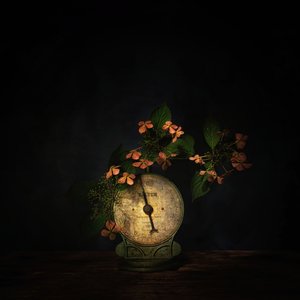  - Saskia Dingemans