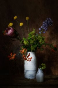  - Saskia Dingemans