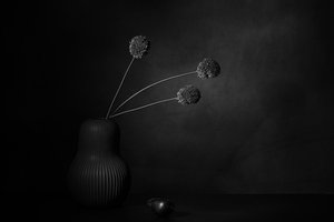  - Saskia Dingemans