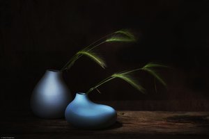 - Saskia Dingemans
